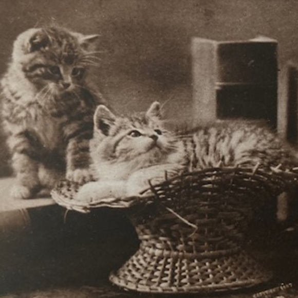 Diane von Furstenberg Metallic Cocktail Dress🍸 - Picture 8 of 8